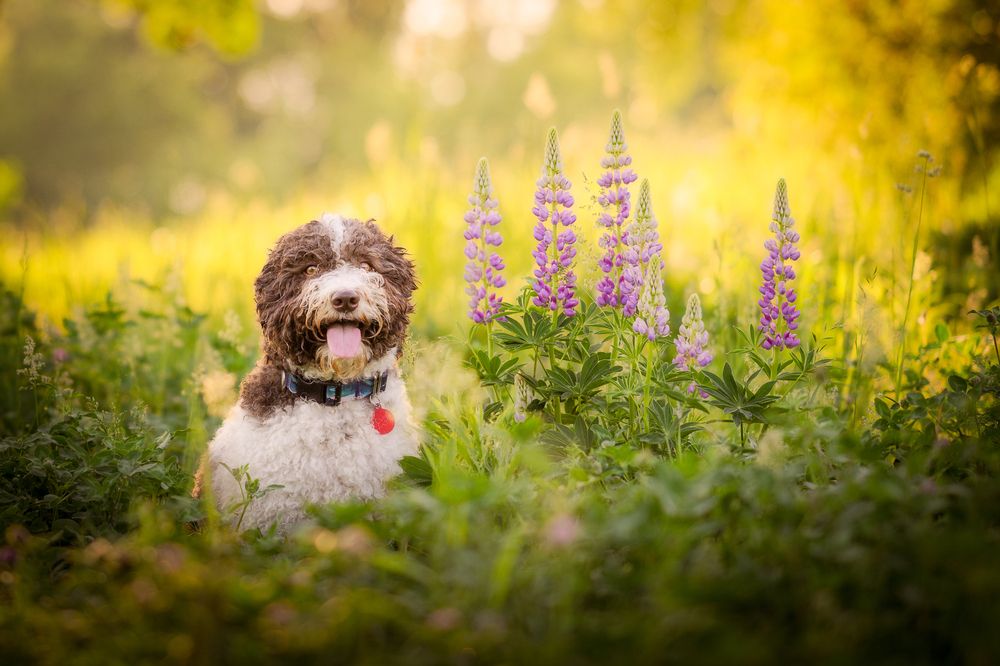 Photograph by Dmitry Ishniyazov