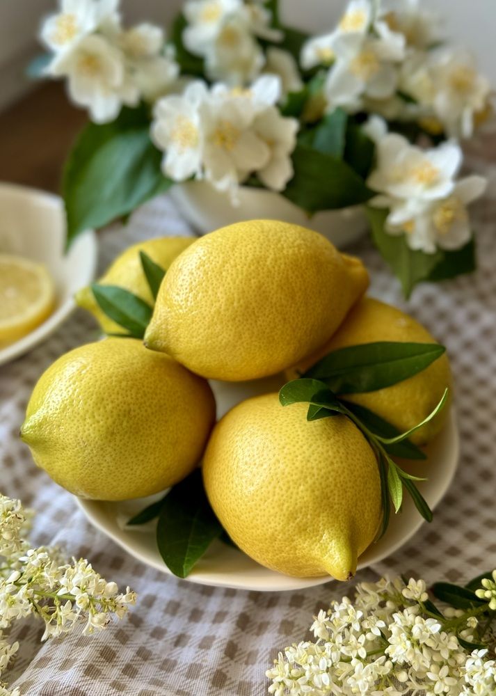 Photograph by Алена Ходатович