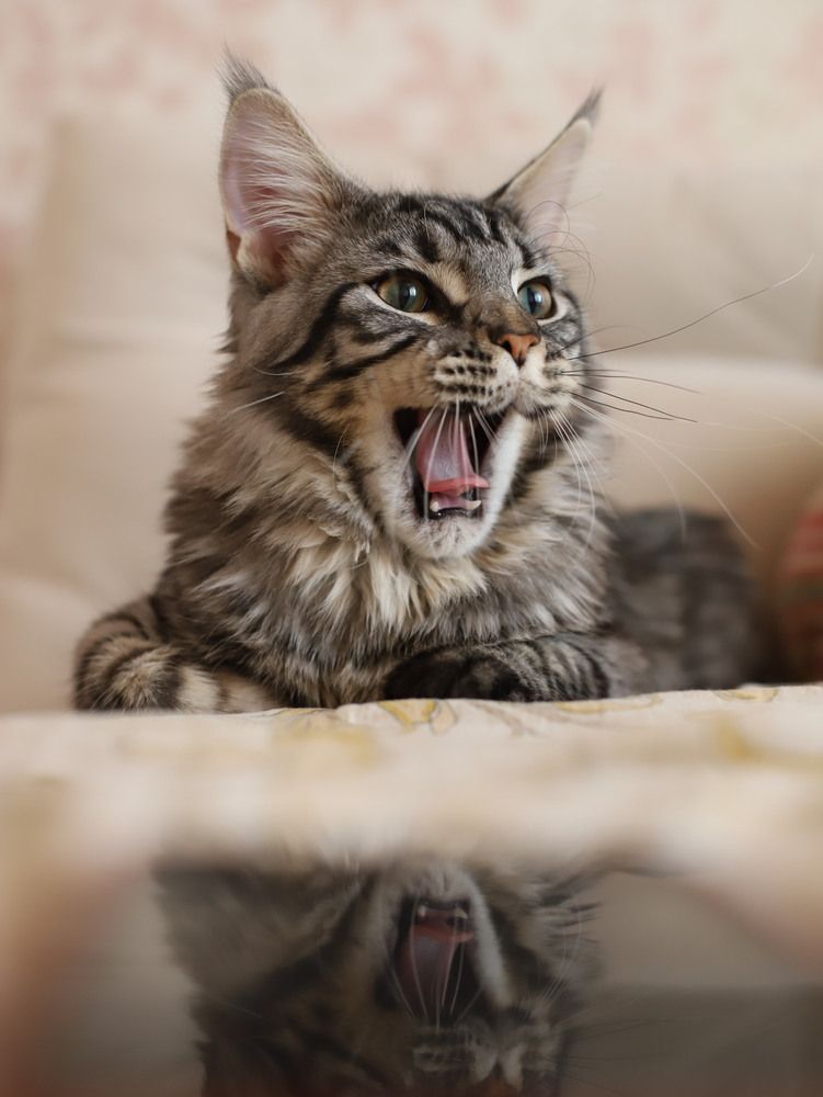 Photograph by Натали Кытманова