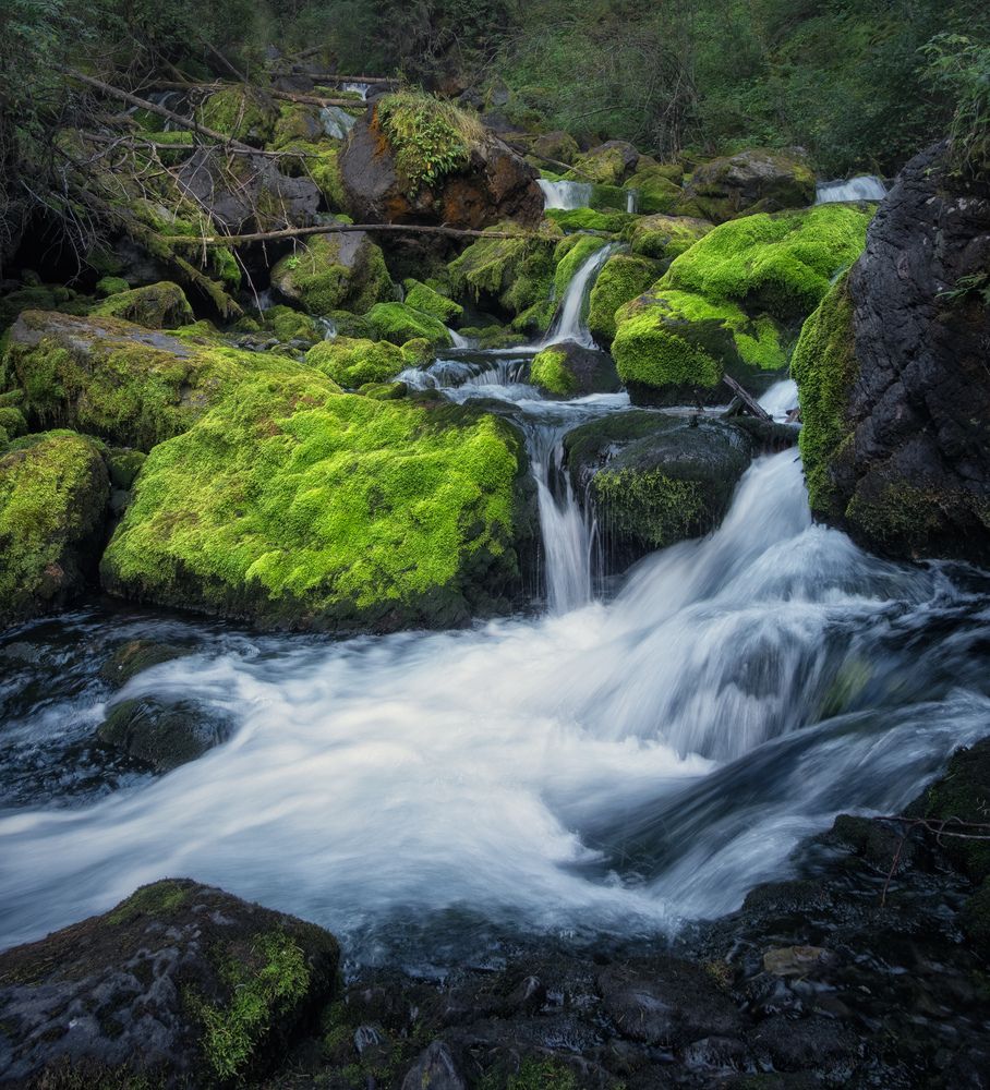 Photograph by  Алексей