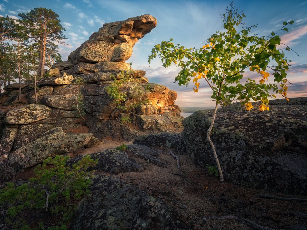 Photograph by  Алексей