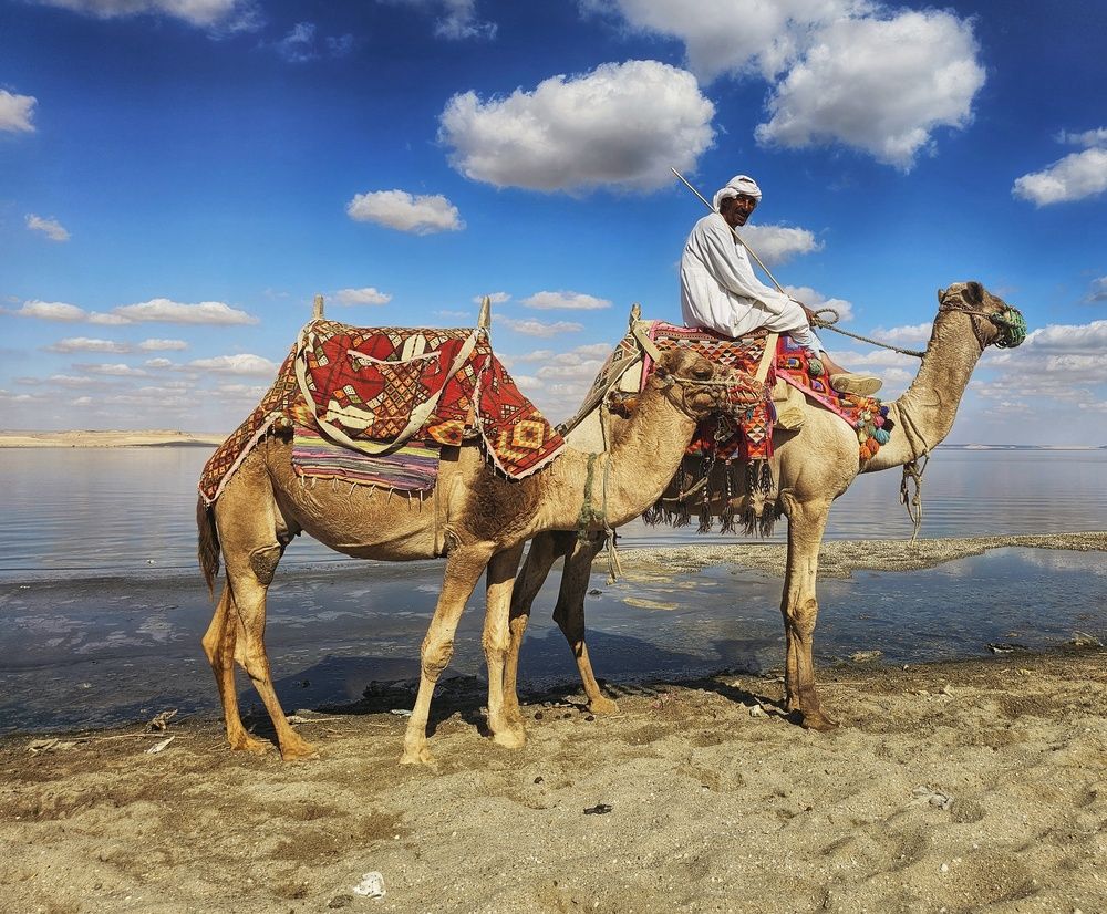 Photograph by Hanan Elmahmoudy