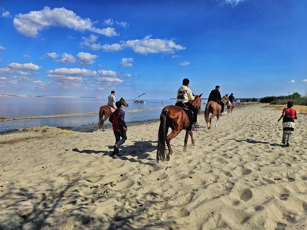 Photograph by Hanan Elmahmoudy