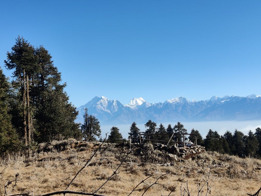 Фотография автора Jaya Bin