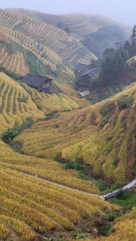 Фотография автора Евгения Ермакова