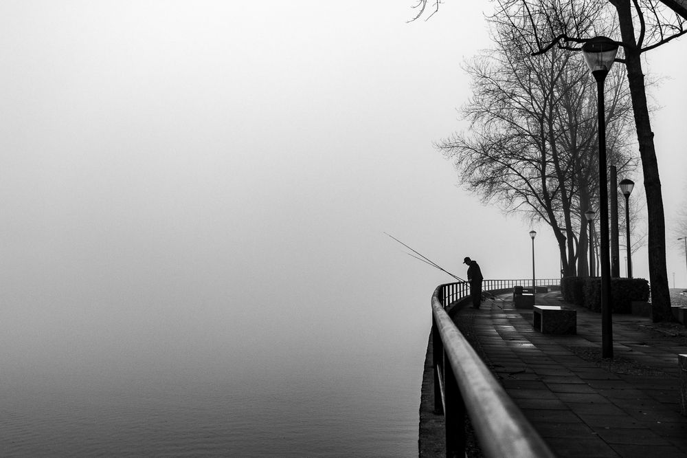 Фотография автора Catarina Almeida