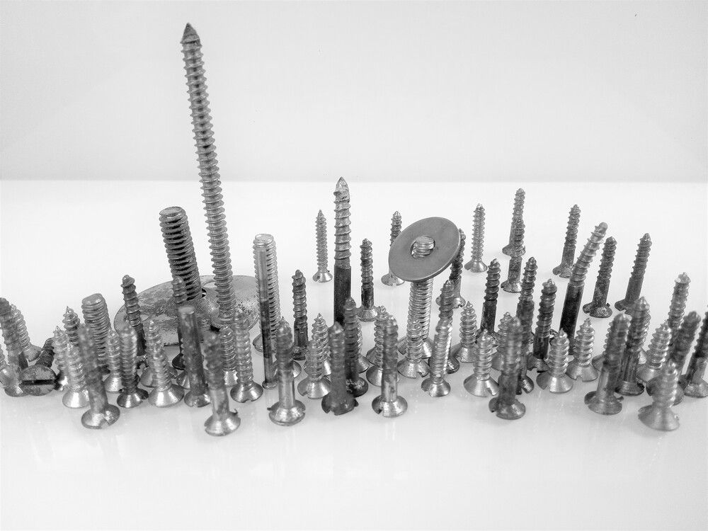 Photograph by Kapil Singh