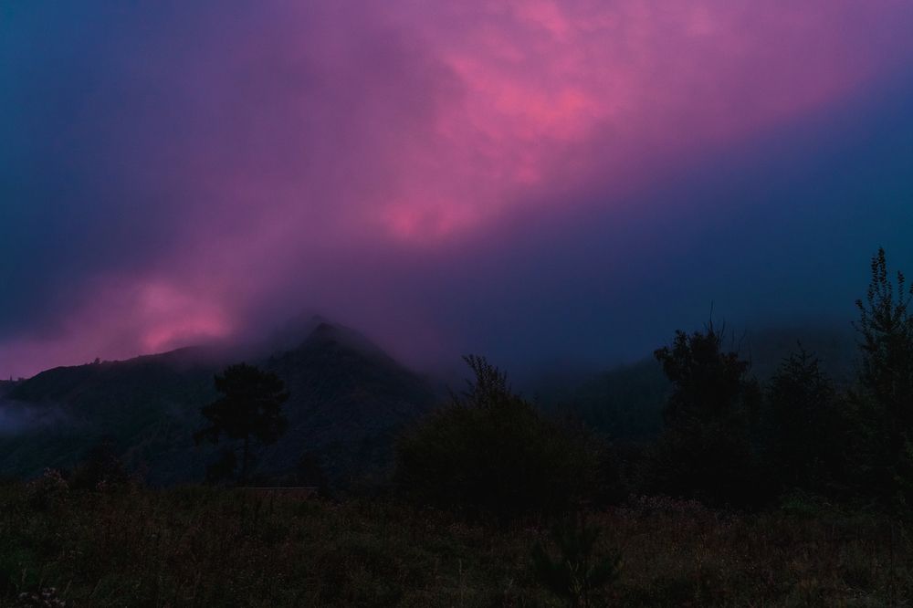 Туманный рассвет