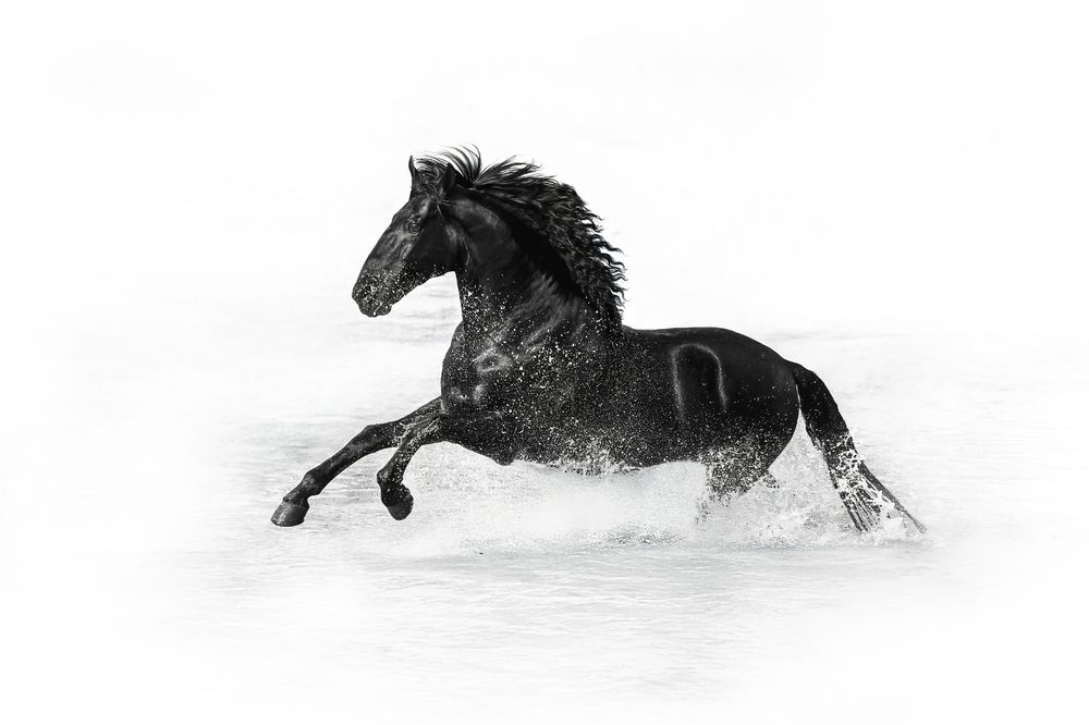 Photograph by Katerina Pustoshnaia