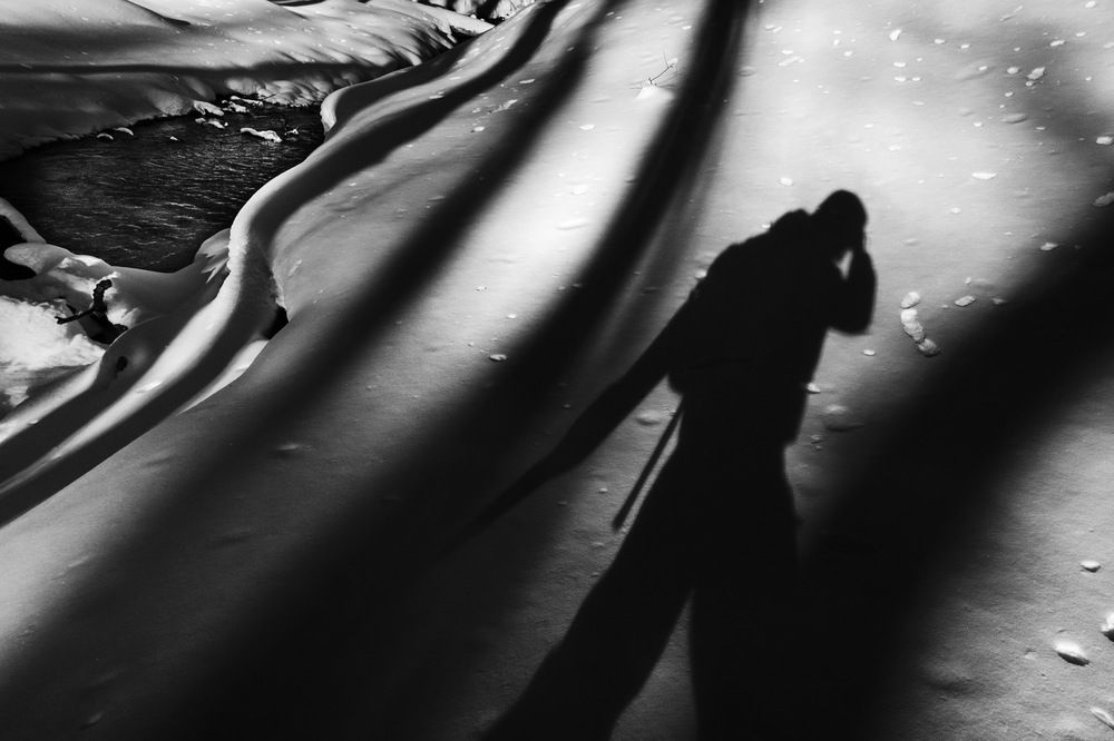 Photograph by Loptev Andrey