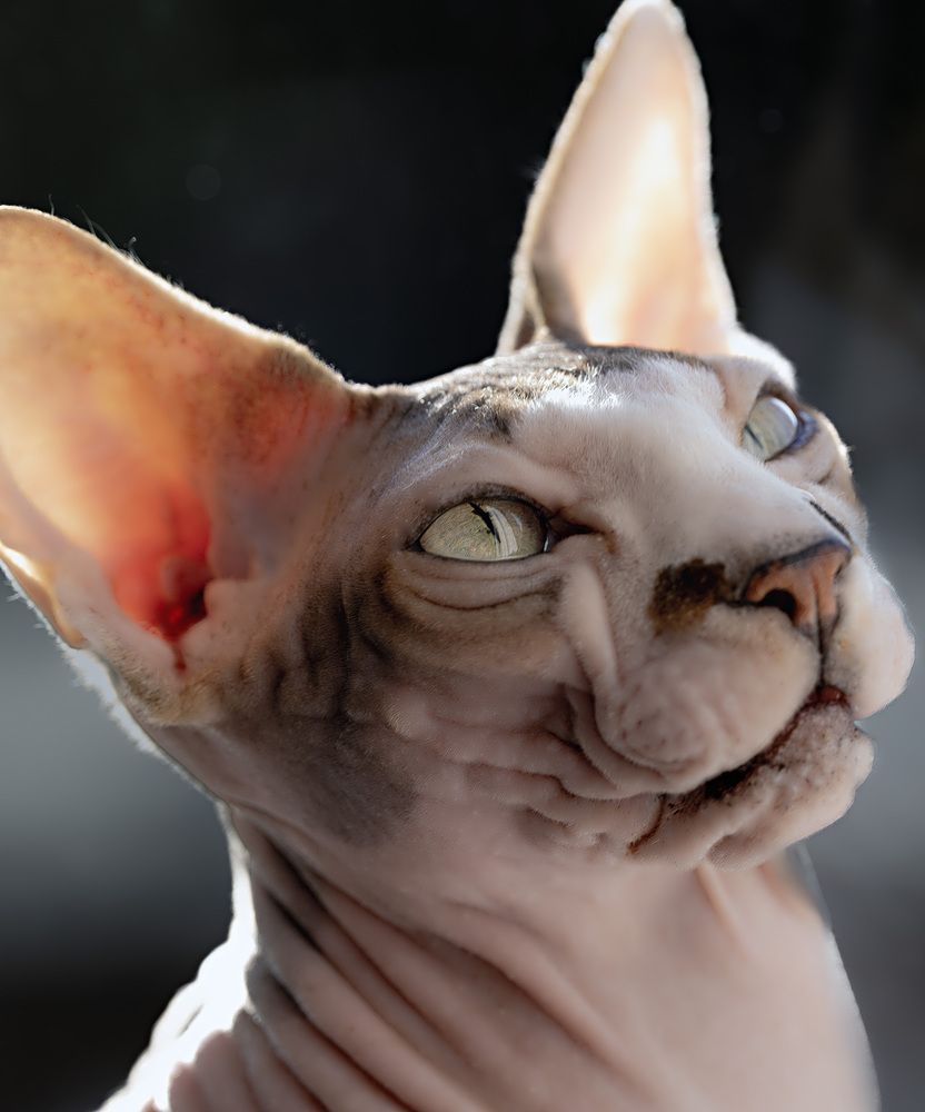 Фотография автора Igor Lukin