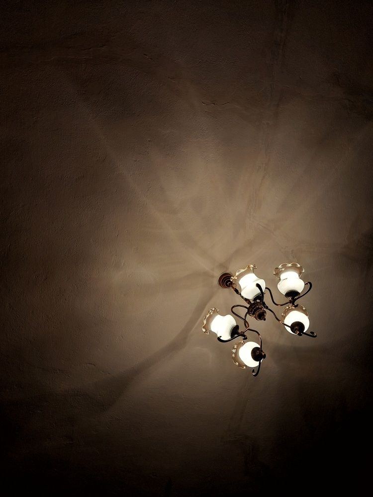 Photograph by Kryakushka