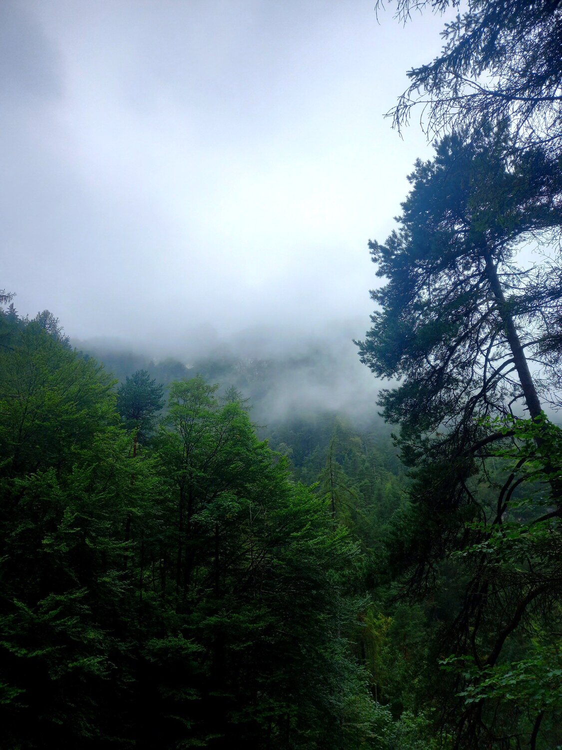 Photo #11976391