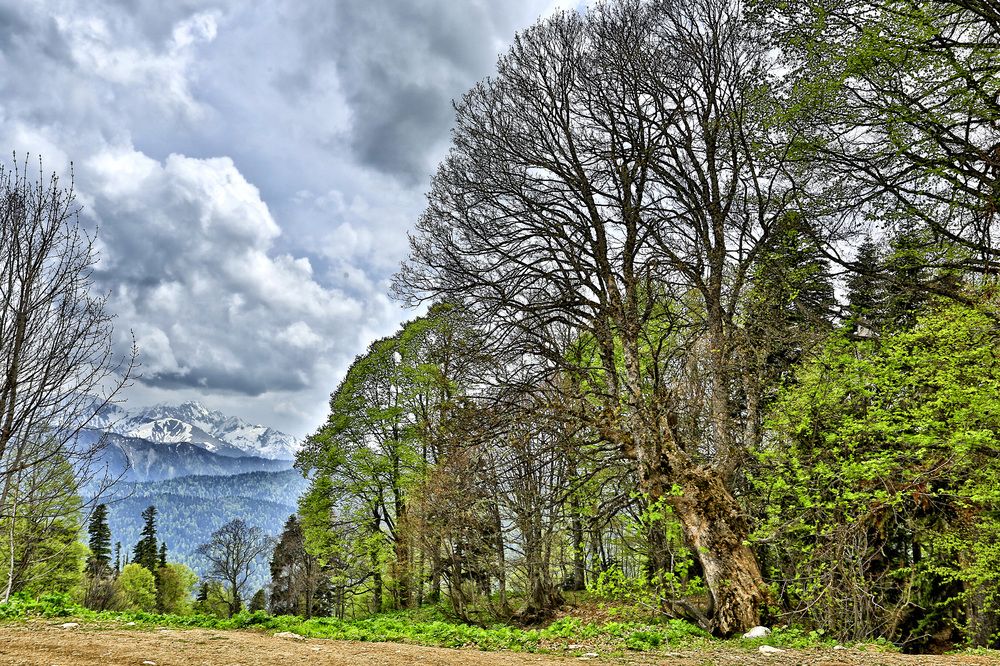 Photograph by Виктор Масальский