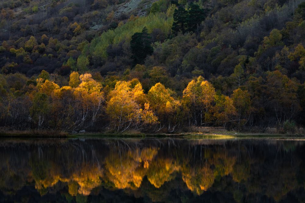 Фотография автора Перевозчиков Андрей