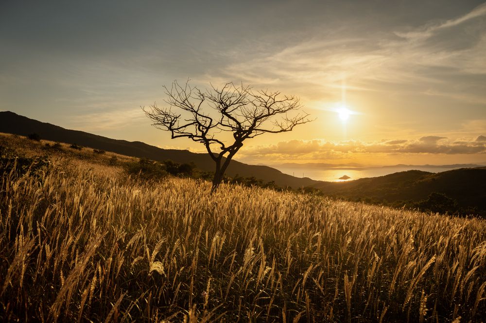 Фотография автора Перевозчиков Андрей