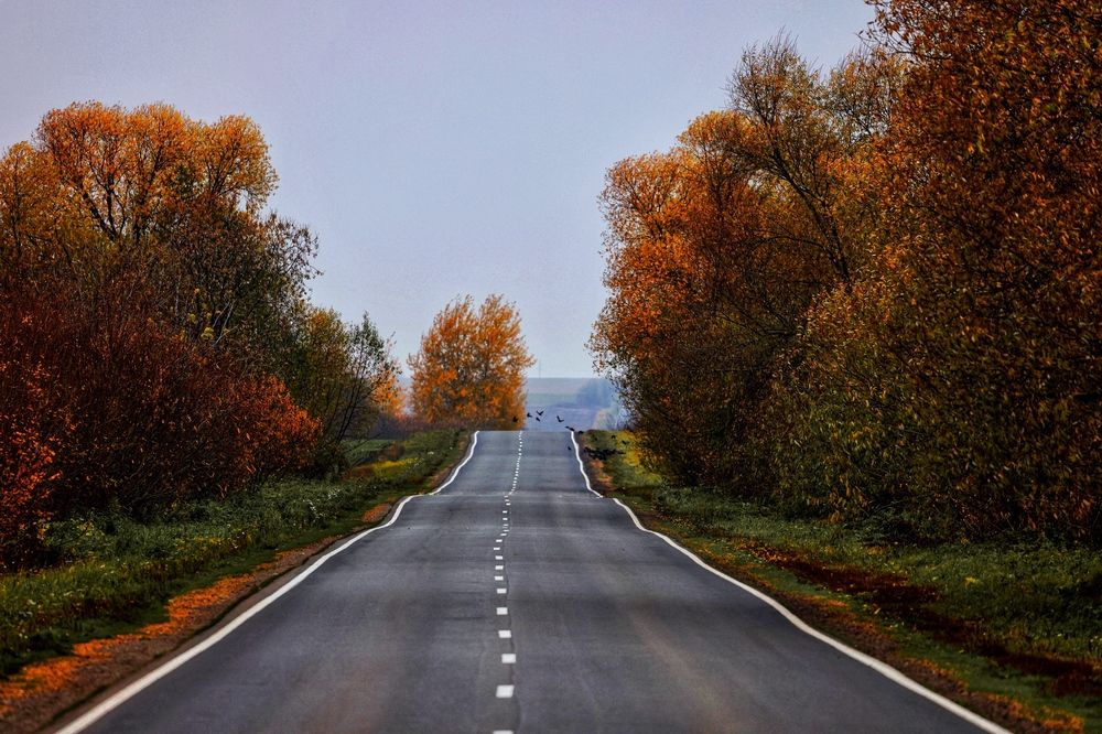 Photograph by Александр Шандов