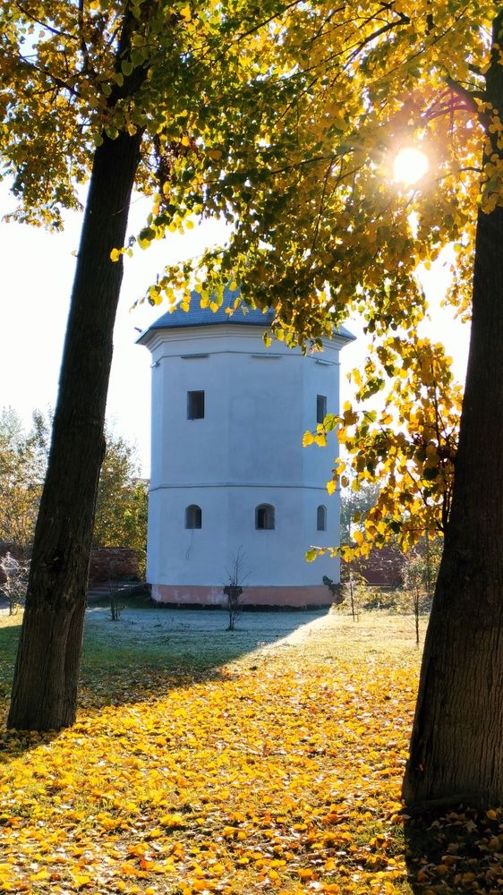 Фотография автора Юлия