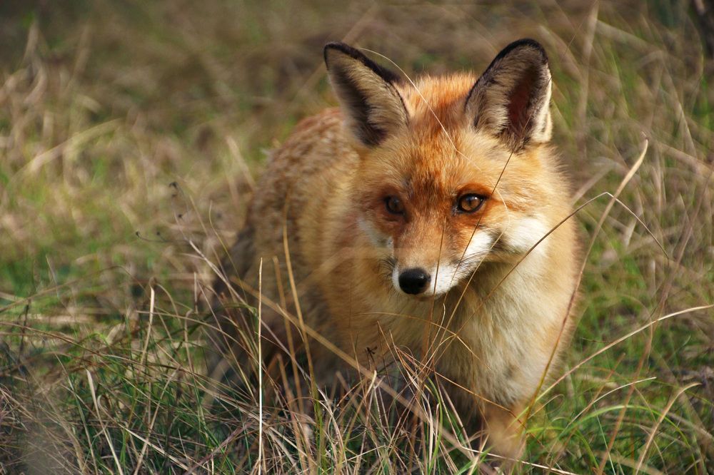 Photograph by Владимир Петрукович