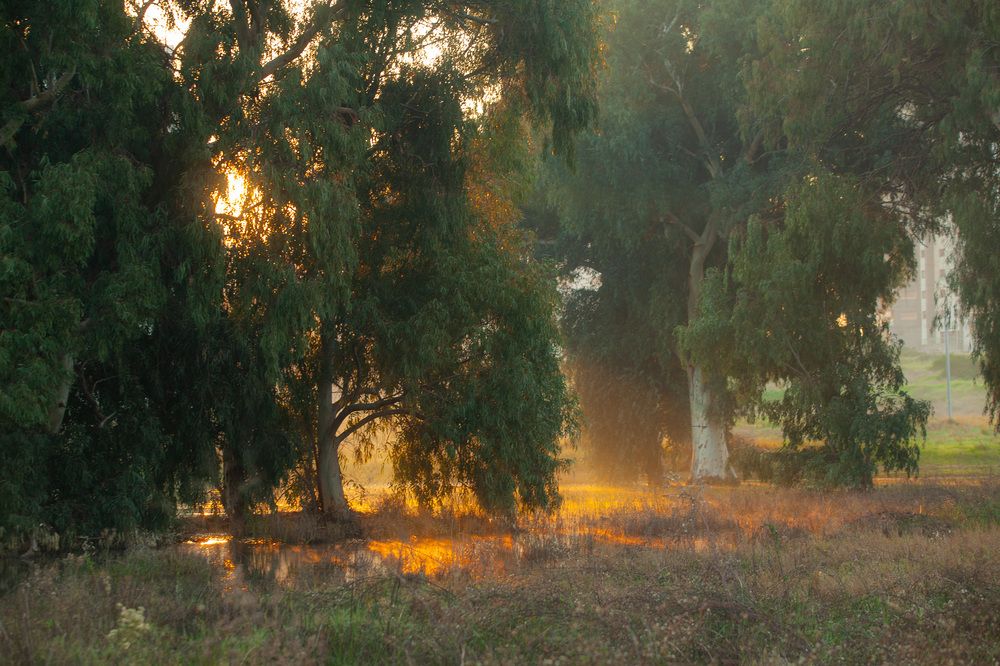 Photograph by Lada Tregubov