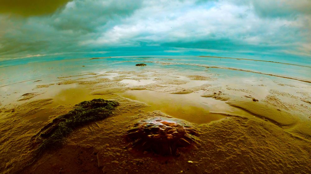 1000000 лет до нашей эры.