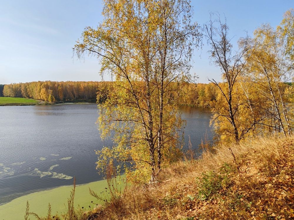 Photograph by Тамара Кремлева