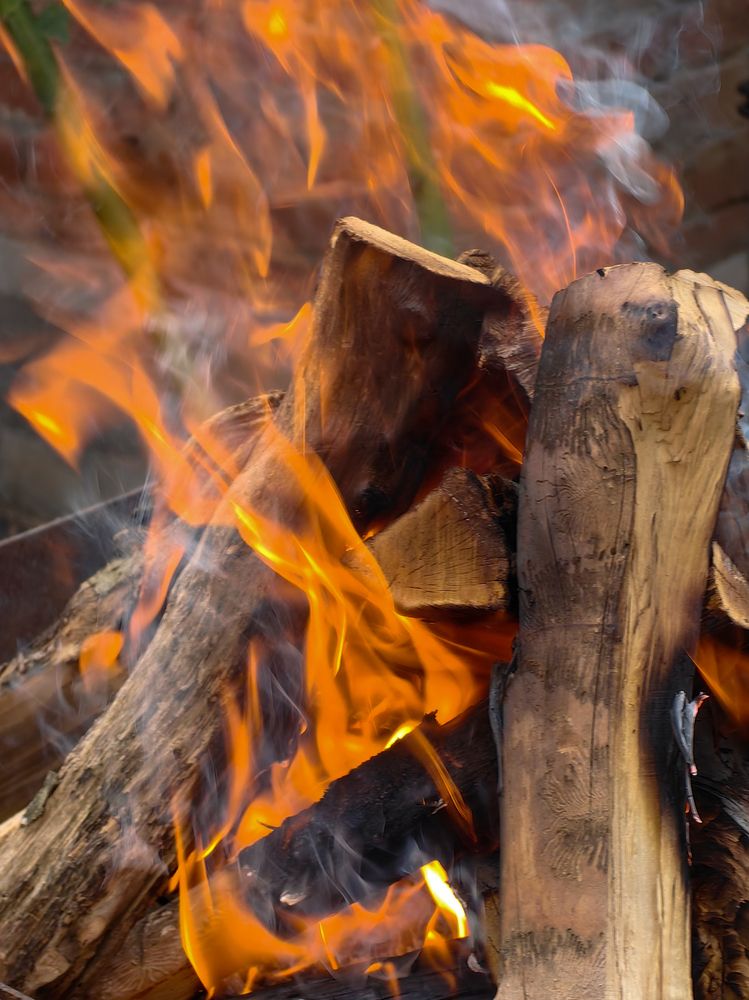 Photograph by Igor M.