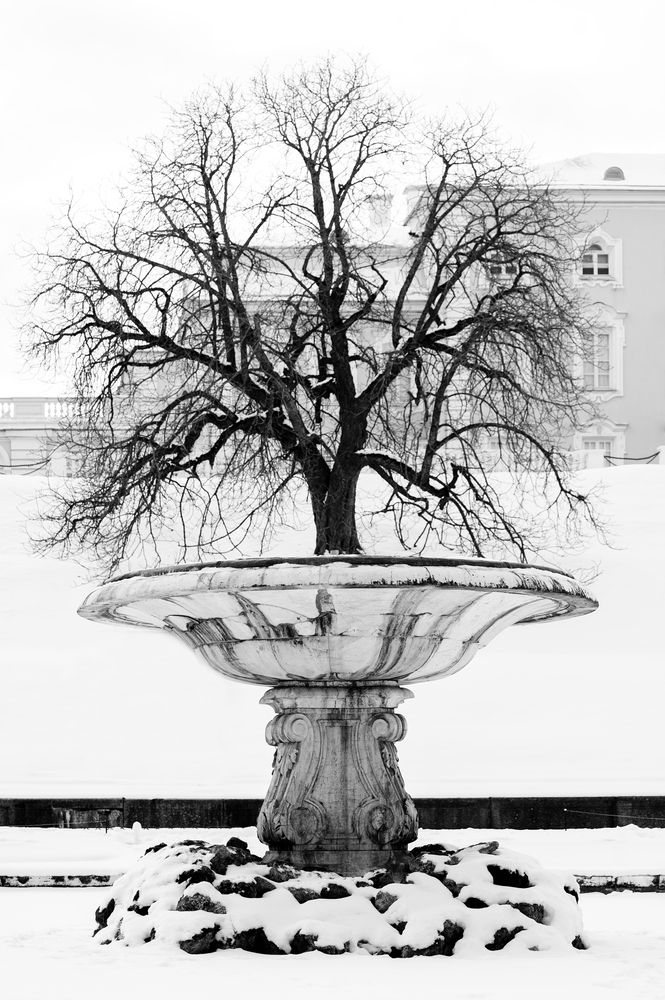 Photograph by Yulia