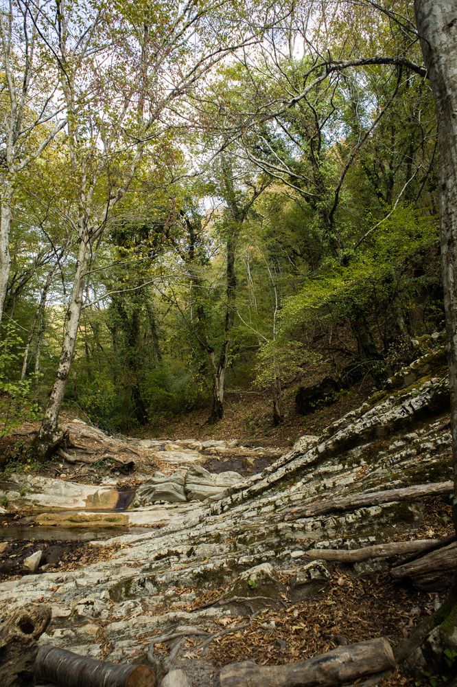 Photograph by Ксения Золотарь