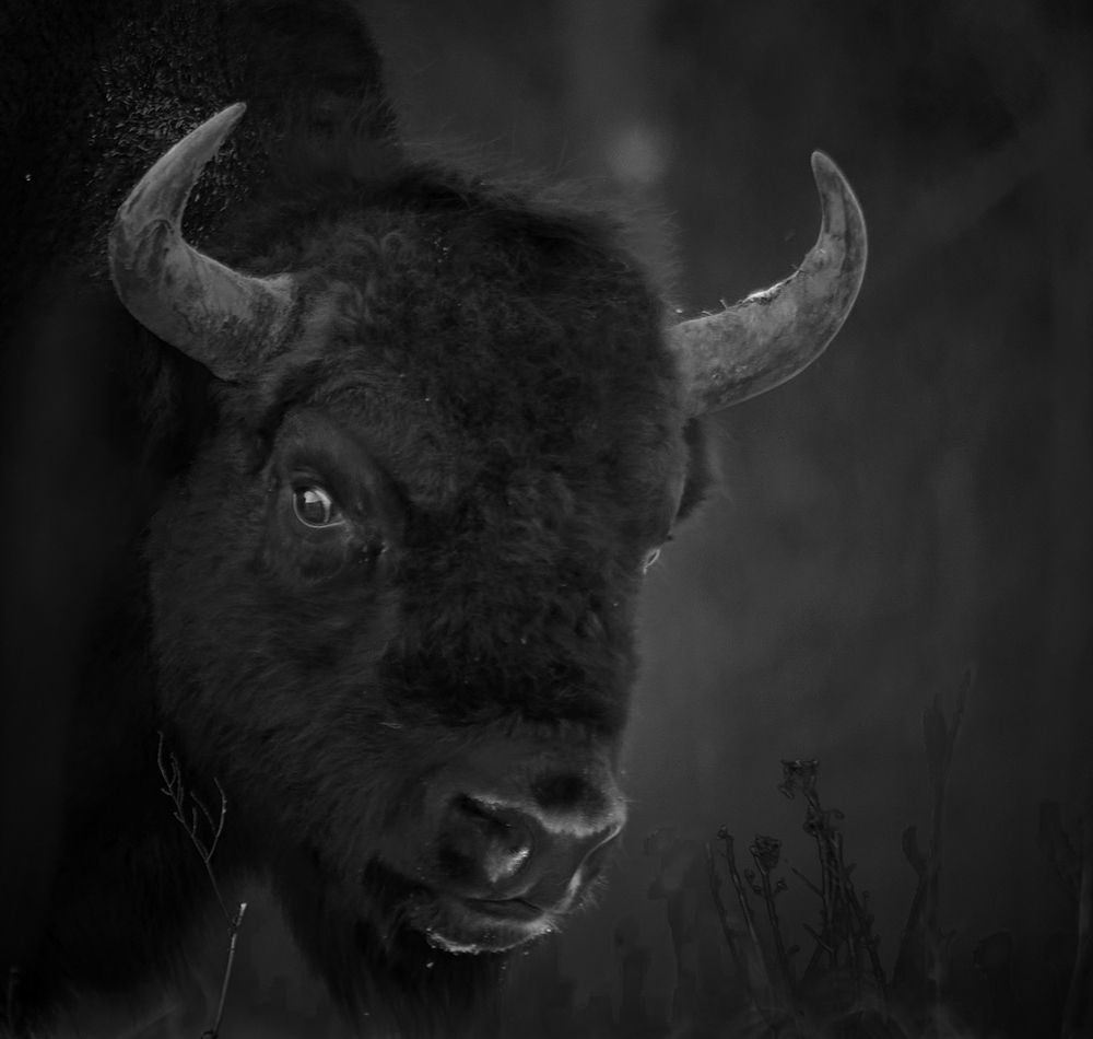 Photograph by Peter Hrubovsky