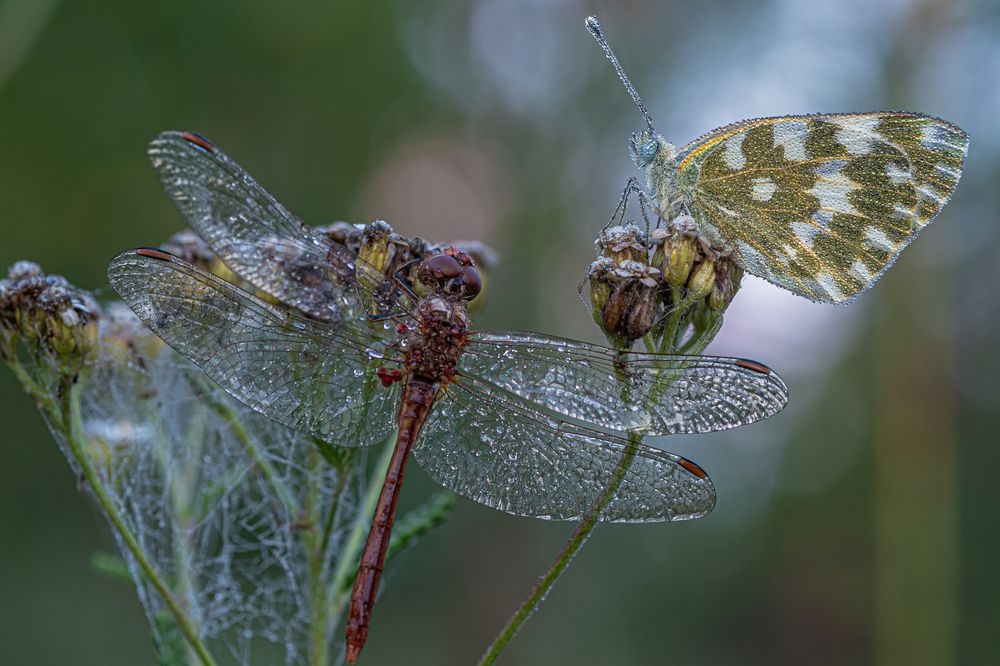 Фотография автора Зайцев Роман