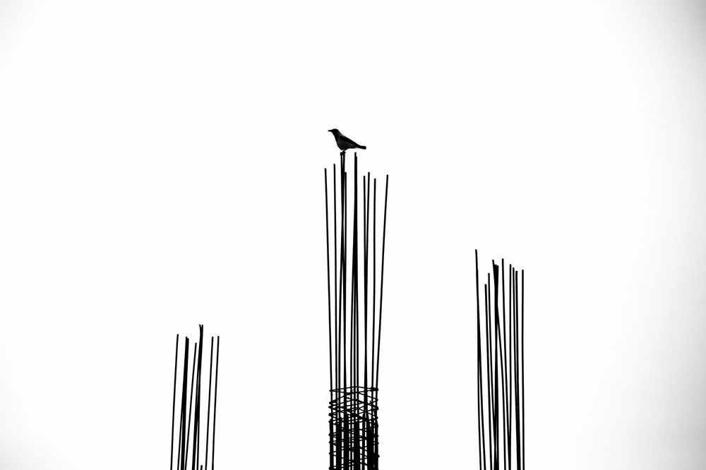 Photograph by Abbas Kalantar