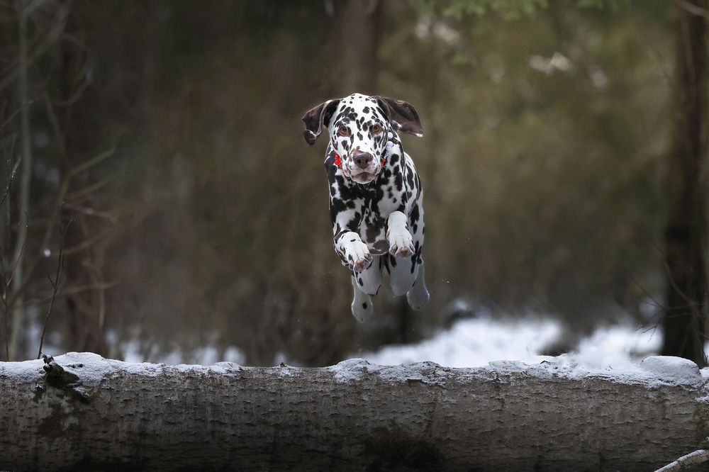 Photograph by Яна Карамышева