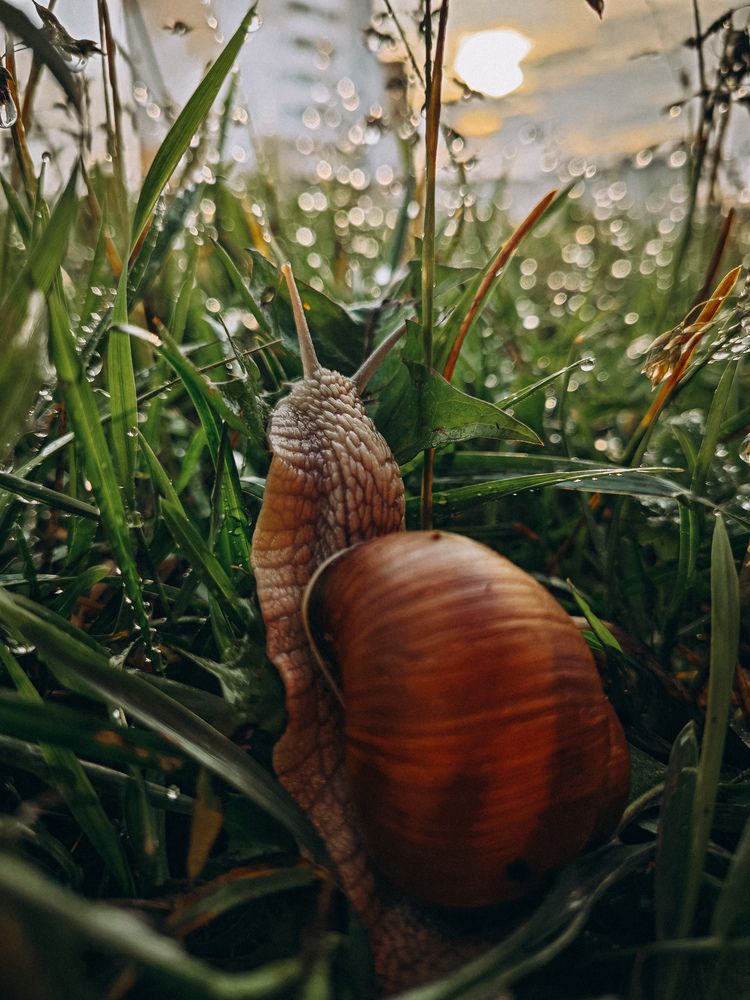 Photograph by Светлана Фоменко