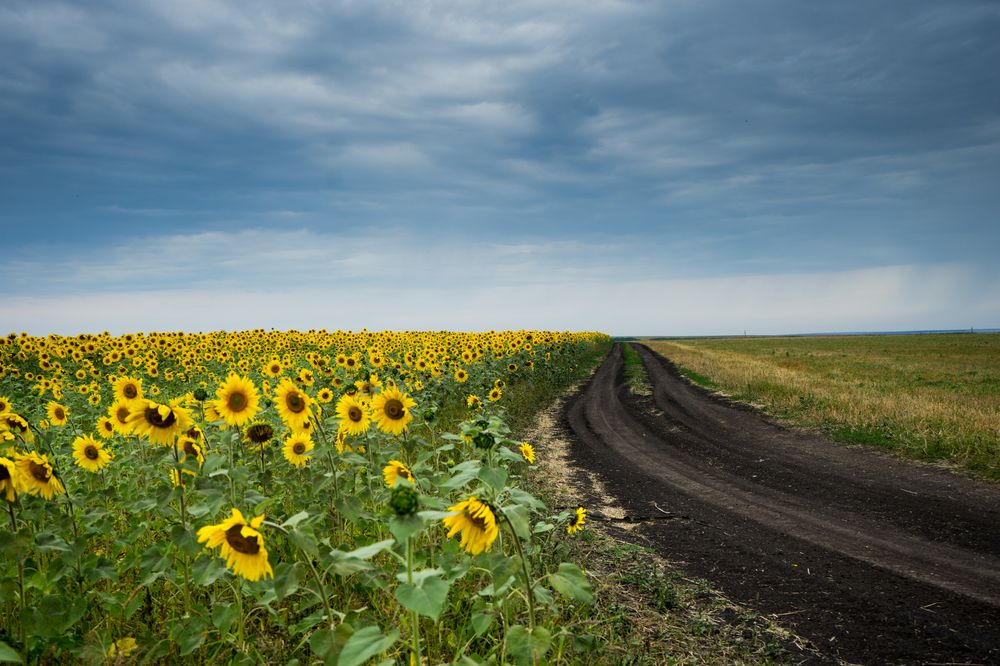Photograph by mikhail goryachev