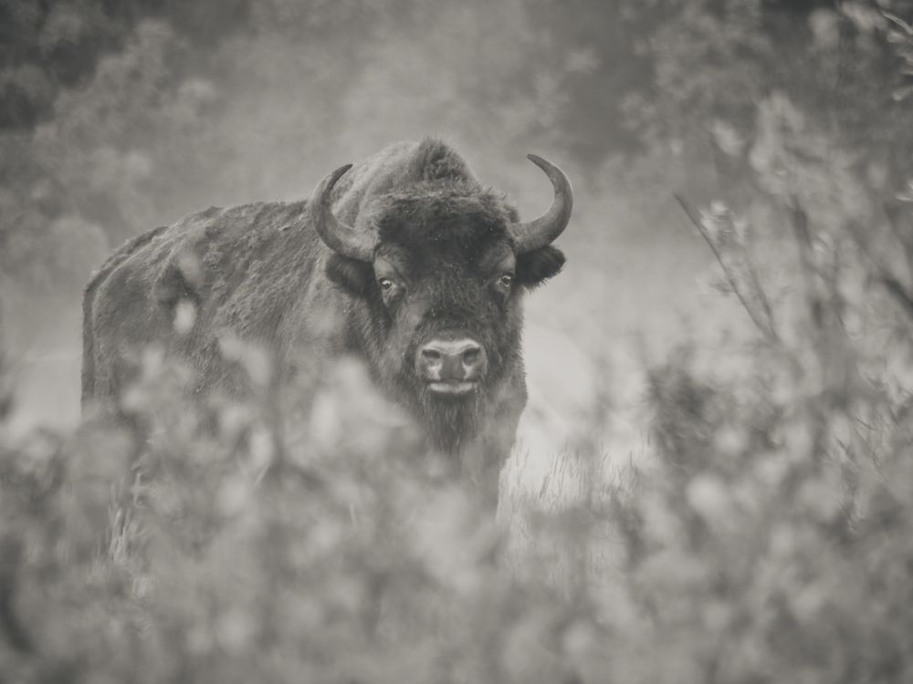 Photograph by Peter Hrubovsky