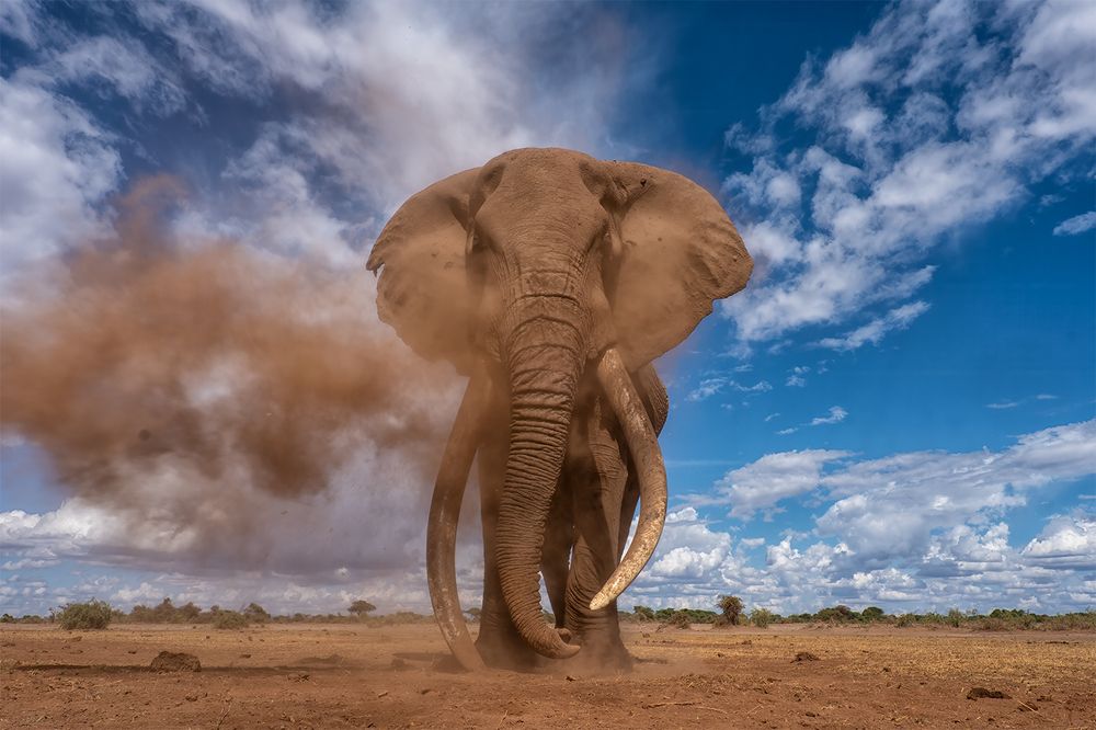 Photograph by Karthick Sridharan