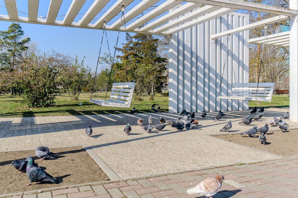 Photograph by Олег Ершов