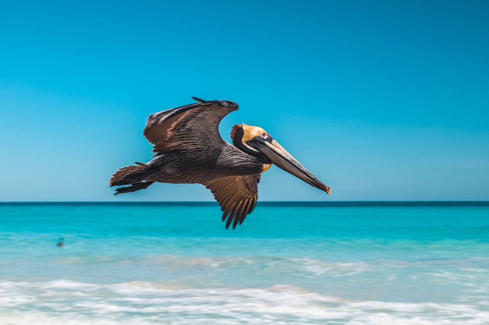 Photograph by Ольга Нецеля