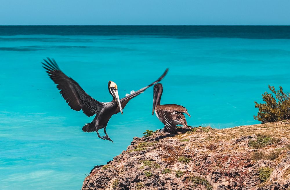 Photograph by Ольга Нецеля