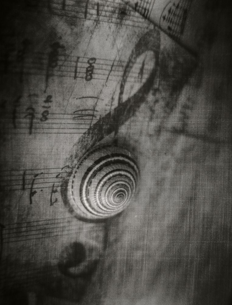 Photograph by Татьяна Ломоносова