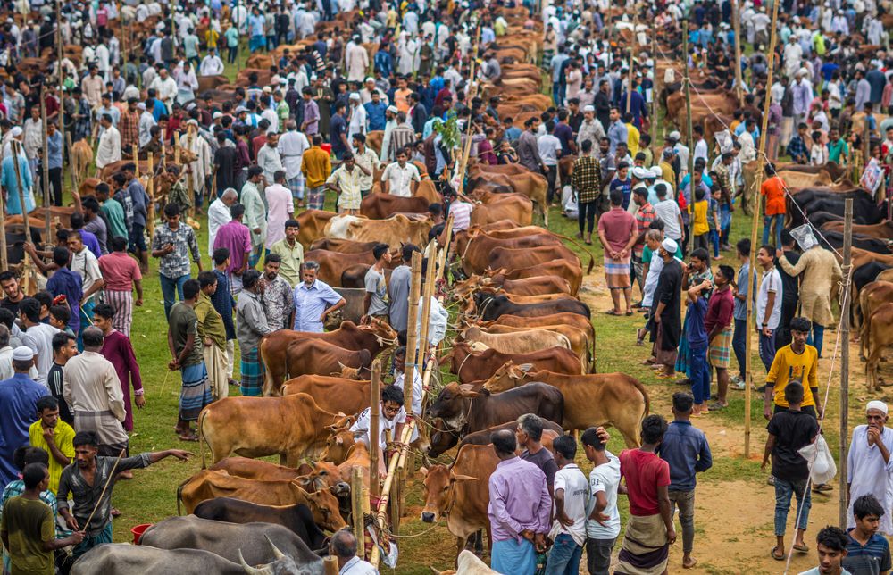 Фотография автора Mohammed Riaz