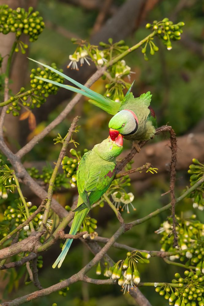 Фотография автора Sriram kumar