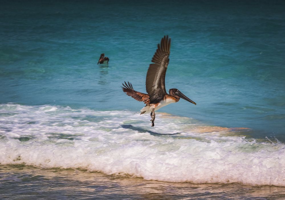 Photograph by Ольга Нецеля