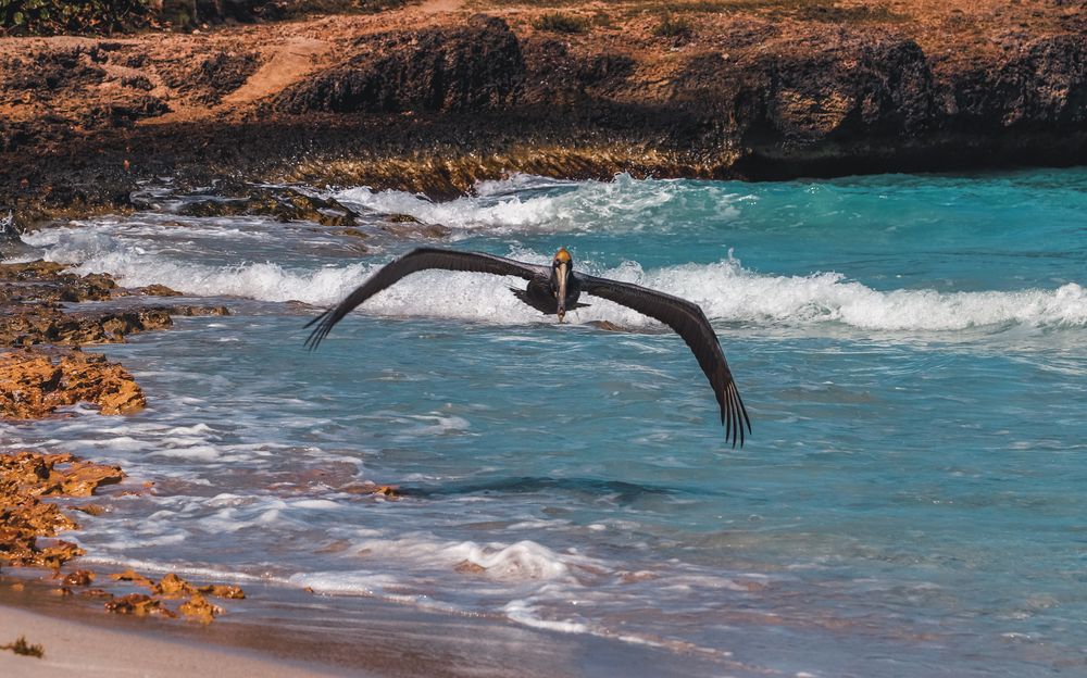 Photograph by Ольга Нецеля