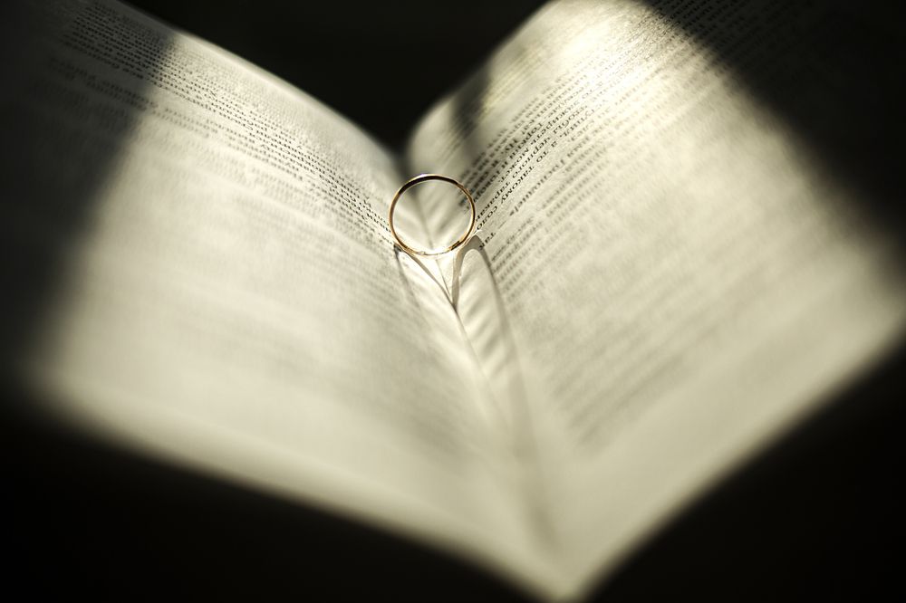 Чтение - упражнение в сочувствии