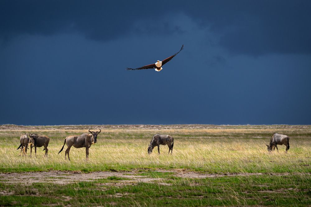 Photograph by Nguyen Dinh