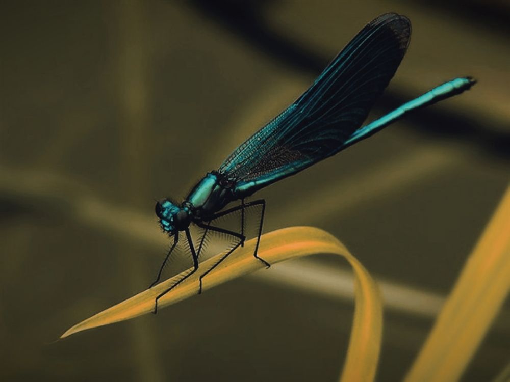 Photograph by Татьяна Полоцкая