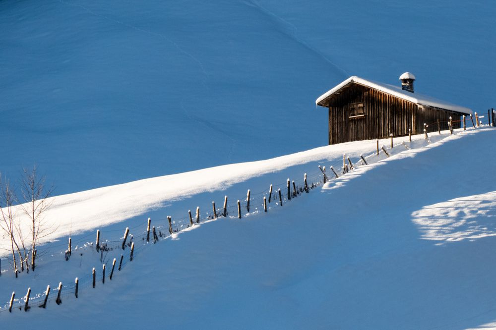 Фотография автора Emi D