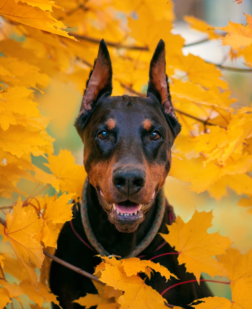 Photograph by Екатерина Лебедева